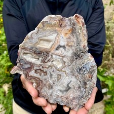 291G Natural Crazy Lace Agate Slab Polished Raw Mineral Specimen Crystal Heali picture