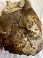 7.33 lb Biggs Picture Jasper  Lapidary Rough from Biggs, Oregon picture