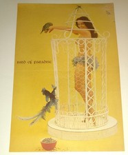 Vintage 1950s Bird Of Paradise Pinup Photo Art Compleat Bachelor Layout Set Lot picture