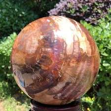 10.58 LB Large Natural Petrified Wood Agate Sphere Crystal Healing Specimen 5665 picture