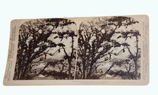 Antique 1899 Underwood Stereoview Looking From Sacre Monte Over Amecameca Mexico picture