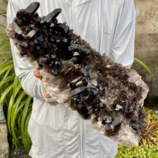 9.59LB Natural smoky black quartz cluster crystal mineral specimen healing picture