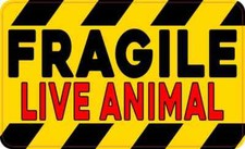 5in x 3in Red Fragile Live Animal Sticker Car Truck Vehicle Bumper Decal picture
