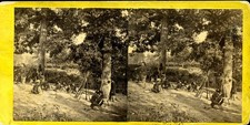 134 Illinois Infantry Under Trees -  Civil War Stereoview Card picture