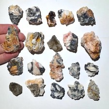 20pc Lot Cerussite & Barite Flowers Crystal Set 1.1lb 1”-2.3” Mibladen, Morocco picture