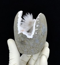 Natural Scolecite On Quartz Mineral Specimen #KM57 picture
