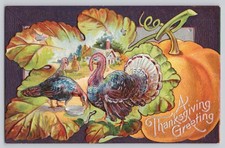 Thanksgiving Greeting Turkeys Pumpkin Embossed Antique Postcard c1910 picture