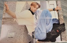 16x20 Devon Sawa And No Doubt Vintage Poster picture