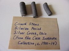 Crinoid Stems - Silurian Period - Paleozoic Era picture