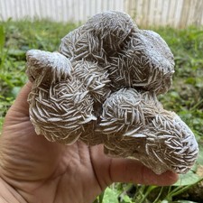 1 Pound 10.48 Oz Massive Desert Selenite Rose Cluster Natural Raw Specimen picture