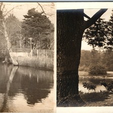 x2 RPPC LOT c1910s Landscapes Sharp Tree Scenic Beauty Water Pond Bridge A380 picture