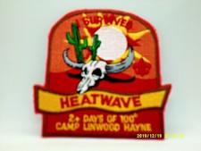 BSA SURVIVED HEATWAVE 2+DAYS OF 100 DEGREES CAMP LINWOOD HAYNE NEW picture