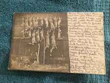 RPPC Rabbit Hunting Lake Elsinore California Posted 1907 to: Garvanza picture