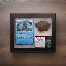 Carracosta Pokémon Card With Authentic Turtle Fossil Fragment In Display RARE picture