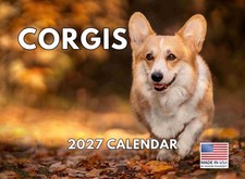 Corgi Calendar 2027 Pembroke Cardigan Welsh Monthly Wall Calender 12 Month picture