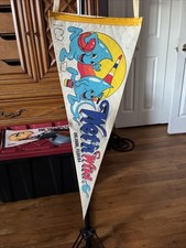 Vintage Wet ‘N Wild Orlando, Florida Water Park Pennant  picture