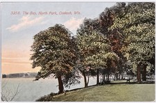 The Bay North Park Oshkosh Wisconsin Vintage Divided Back 1912 Postcard picture