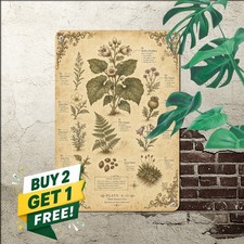vintage botanical herbarium chart hand drawn herb flower picture