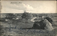 North Truro MA Village Landscape c1908 Vintage Postcard picture