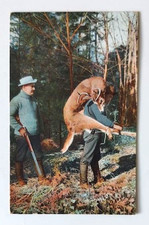 VTG 1908 HUNTING Postcard HUNTER CARRIES DEER BAGGED DURING HUNT OUT ON HIS BACK picture