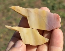 ☘️RR⛏️: Oklahoma Is “OK” 2 Small Petrified Wood Slabs From Az. picture