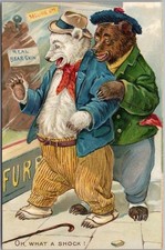 c1910s Tuck's LITTLE BEARS No. 118 Embossed Postcard