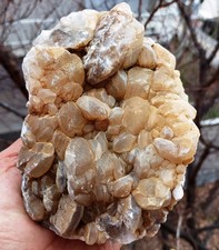 Yellow Scalenohedral Calcite Crystal Cluster picture