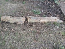 Very Rare Petrified Log picture