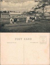 Postcard Washington D.C. Dairy Farm US Soldier Home 1907 picture