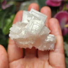 Pink Halite picture