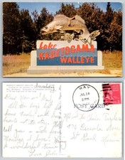 Lake Kabetogama Ray Minnesota World's Largest Walleye Statue W L Fisher Postcard picture