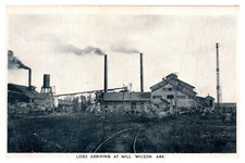 Logs Arriving By Train At Mill Wilson Arkansas C1910s Photo Tone Postcard AE19 picture