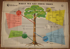 1957 Large Poster, US Forest Service, What We Get From Trees, Smokey  picture