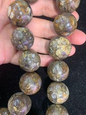 Wonderful Large Tibetan Old Natural Fossil Conch Dzi 24mm Beads Long Bracelet picture