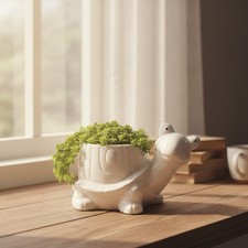 Adorable 5-Inch Tortoise Succulent Planter - Whimsical White Home Decor picture