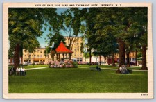 Norwich New York View of East Side Park and Chenango Hotel Postcard picture
