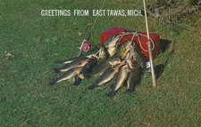 Black Bass Fishing-East Tawas, Michigan 1961 vintage unposted picture
