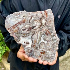 1.29LB Natural Crazy Lace Agate Slice Polished Rough Mineral Specimen Crystal Ho picture