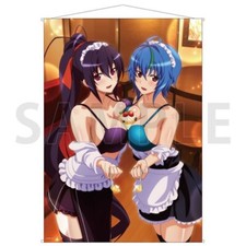 High School DxD Akeno Himejima Xenovia Quarta B1 Tapestry 28.6×40.5 inc Japan picture