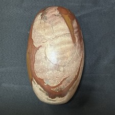 Big 11.9 Inch Shiva Lingam Natural stone from Narmada River in India C25.12.11 picture