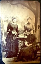 Lot Of 12 Antique Studio Tintypes Of Women And Children 1870s To 1890s picture
