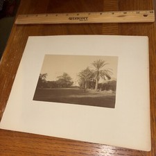 Vintage Athens King’s Palace from Royal Garden Mounted Greek Architecture Photo picture