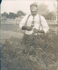 1914 Press George Frank Business Man Tie Trees Bushes Field Smoke Photo picture