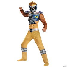 Boy's Deluxe Power Rangers Dino Gold Ranger Costume - Small DG82789L picture