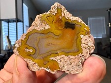 3.95 Gram Thunderegg Pujiang, China Half Nodule - Polished picture
