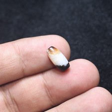 Genuine Ancient Tibetan Himalayan Banded Agate Stone Dzi Bead in good Condition picture