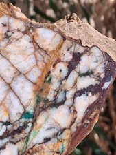 Nice Thick Slab Gold Ore Blu Mtn Visible Gold In Chalcopyrite Showing High Grade picture