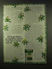 1978 Scotts Turf Builder Plus 2 Ad - Get Dandelions Out picture