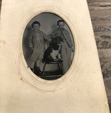 1860s Tintype Photo Little Boys Dog Takes the Chair - Visible Shadow antique picture