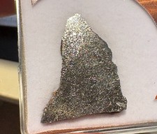 2.42 gram NWA 15893 meteorite slice Enstatite chondrite EH6 Mark Lyon provenance picture